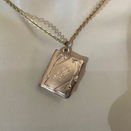 Antiek 9 kt. gouden Victoriaans medaillon/locket met schildpad en hoefijzer gravure
