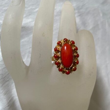 14kt. geelgouden ovale entourage ring met bloedkoraal