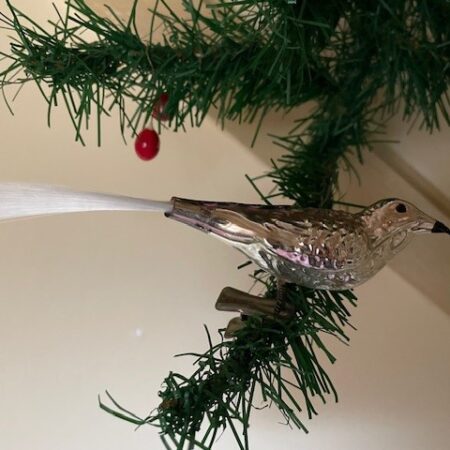 Antieke oude kerstbal een vogel van dun geblazen glas op veer of klem 1e helft 1900