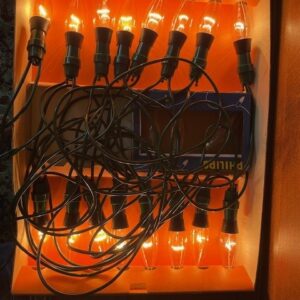 Doos met extra lang snoer en 16 gloeilampen voor buiten van Philips/ Splendor - Afbeelding 2