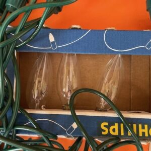 Doos met extra lang snoer en 16 gloeilampen voor buiten van Philips/ Splendor - Afbeelding 6