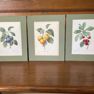 3 vruchten litho's van Joseph Redoute, gravure van Langlois 1955