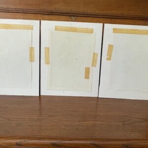 3 vruchten litho's van Joseph Redoute, gravure van Langlois 1955 - Afbeelding 6