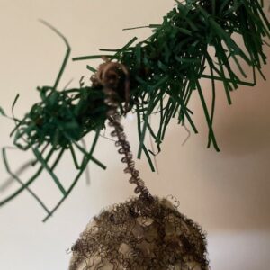 Antieke kerstbal een braam van vliesdun geblazen glas omwonden met leonisch draad 1900 - Afbeelding 2